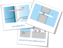Graphical abstract: Nanofluidics in point of care applications