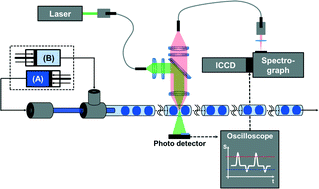 Graphical abstract: Phase-specific Raman spectroscopy for fast segmented microfluidic flows