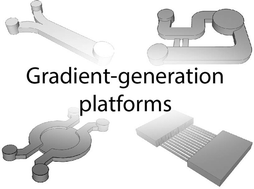 Graphical abstract: Gradient generation platforms: new directions for an established microfluidic technology