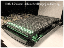Graphical abstract: Biomedical imaging and sensing using flatbed scanners