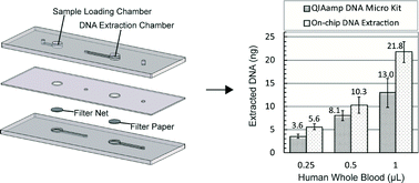 Graphical abstract: A filter paper-based microdevice for low-cost, rapid, and automated DNA extraction and amplification from diverse sample types