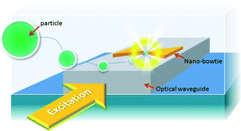 Graphical abstract: Trapping particles using waveguide-coupled gold bowtie plasmonic tweezers
