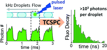 Graphical abstract: High-throughput time-correlated single photon counting