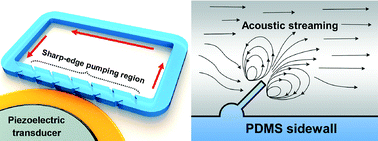 Graphical abstract: A reliable and programmable acoustofluidic pump powered by oscillating sharp-edge structures