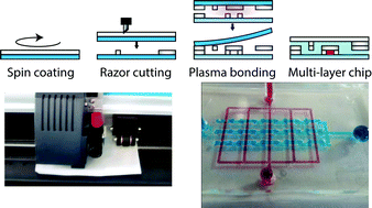Graphical abstract: Ultra-rapid prototyping of flexible, multi-layered microfluidic devices via razor writing