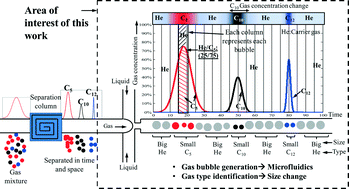 Graphical abstract: A bubble-based microfluidic gas sensor for gas chromatographs