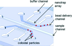 Graphical abstract: Creating sub-50 nm nanofluidic junctions in a PDMS microchip via self-assembly process of colloidal silica beads for electrokinetic concentration of biomolecules