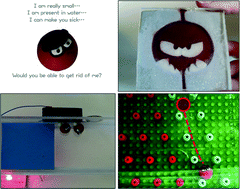 Graphical abstract: Angry pathogens, how to get rid of them: introducing microfluidics for waterborne pathogen separation to children