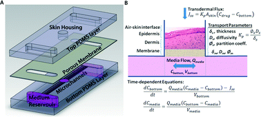 Graphical abstract: Pumpless microfluidic platform for drug testing on human skin equivalents