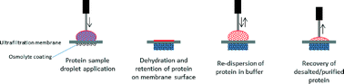 Graphical abstract: An osmolyte-based micro-volume ultrafiltration technique