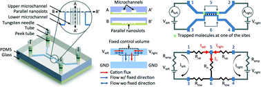 Graphical abstract: Real-time dual-loop electric current measurement for label-free nanofluidic preconcentration chip