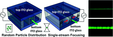 Graphical abstract: Fabrication of 3D high aspect ratio PDMS microfluidic networks with a hybrid stamp