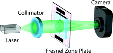 Graphical abstract: Dielectrophoretically controlled Fresnel zone plate