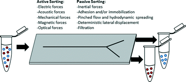 Graphical abstract: Microfluidic cell sorting: a review of the advances in the separation of cells from debulking to rare cell isolation