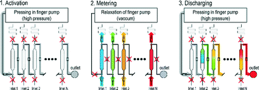 Graphical abstract: Simultaneous metering and dispensing of multiple reagents on a passively controlled microdevice solely by finger pressing