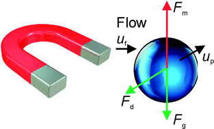 Graphical abstract: Lab on a chip for continuous-flow magnetic cell separation
