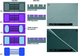 Graphical abstract: Cell culture on microfabricated one-dimensional polymeric structures for bio-actuator and bio-bot applications