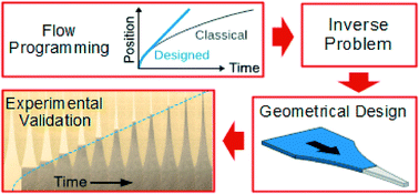Graphical abstract: Rational design of capillary-driven flows for paper-based microfluidics