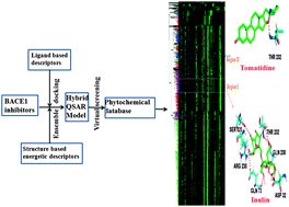 Graphical abstract: Encompassing receptor flexibility in virtual screening using ensemble docking-based hybrid QSAR: discovery of novel phytochemicals for BACE1 inhibition