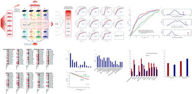 Graphical abstract: Prioritizing candidate disease miRNAs by integrating phenotype associations of multiple diseases with matched miRNA and mRNA expression profiles