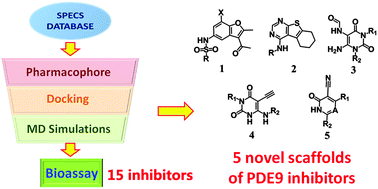 Graphical abstract: Molecular dynamics-based discovery of novel phosphodiesterase-9A inhibitors with non-pyrazolopyrimidinone scaffolds