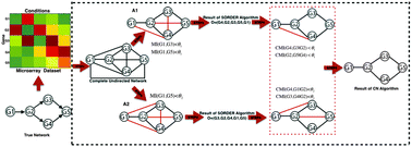 Graphical abstract: CN: a consensus algorithm for inferring gene regulatory networks using the SORDER algorithm and conditional mutual information test
