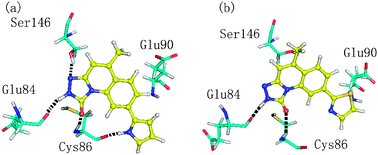 Graphical abstract: Computational studies on the binding mechanism between triazolone inhibitors and Chk1 by molecular docking and molecular dynamics