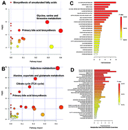 Graphical abstract: A metabolomic and pharmacokinetic study on the mechanism underlying the lipid-lowering effect of orally administered berberine