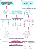 Graphical abstract: Prioritizing candidate disease-related long non-coding RNAs by walking on the heterogeneous lncRNA and disease network