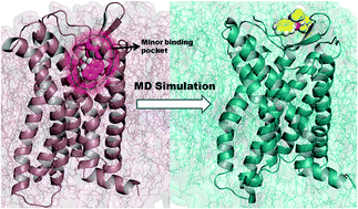 Graphical abstract: Insights into the binding modes of CC chemokine receptor 4 (CCR4) inhibitors: a combined approach involving homology modelling, docking, and molecular dynamics simulation studies