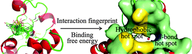 Graphical abstract: Insight into the key interactions of bromodomain inhibitors based on molecular docking, interaction fingerprinting, molecular dynamics and binding free energy calculation