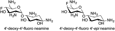 Graphical abstract: Synthesis of 4′-deoxy-4′-fluoro neamine and 4′-deoxy-4′-fluoro 4′-epi neamine