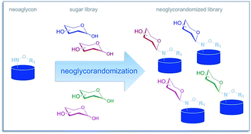 Graphical abstract: Neoglycosylation and neoglycorandomization: enabling tools for the discovery of novel glycosylated bioactive probes and early stage leads