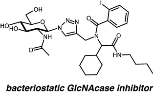 Graphical abstract: Anti-bacterial glycosyl triazoles – identification of an N-acetylglucosamine derivative with bacteriostatic activity against Bacillus