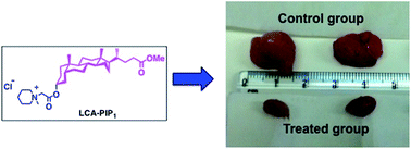 Graphical abstract: Synthesis, structure–activity relationship, and mechanistic investigation of lithocholic acid amphiphiles for colon cancer therapy