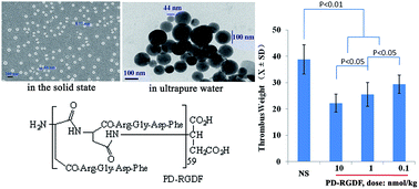 Graphical abstract: Poly-α,β-aspartyl-Arg-Gly-Asp-Phe: a novel polymeric nanomedicine