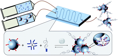 Graphical abstract: Self-assembly of size-tunable supramolecular nanoparticle clusters in a microfluidic channel
