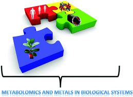 Graphical abstract: The use of metabolomics in the study of metals in biological systems