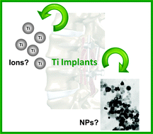 Graphical abstract: Evaluation of the biological effect of Ti generated debris from metal implants: ions and nanoparticles