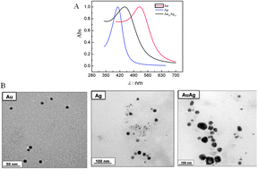 Graphical abstract: Eco-friendly synthesis of bimetallic AuAg nanoparticles