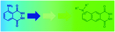 Graphical abstract: Strong green chemiluminescence from naphthalene analogues of luminol