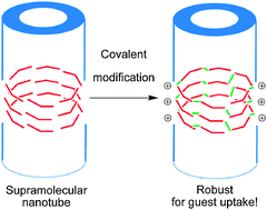Graphical abstract: Surface modification of supramolecular nanotubes and selective guest capture