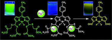 Graphical abstract: 3,5-Bis(dithioacetal) meso-aryl BODIPYs: selective chemodosimeters for Hg(ii) ions
