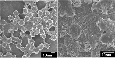 Graphical abstract: Effects of carbon nanomaterials on the aggregation of a bi-oxadiazole derivative (BOXD-T8) in DMF and its gel properties