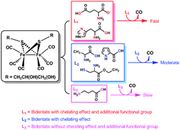 Graphical abstract: A kinetic analysis of CO release from a diiron hexacarbonyl complex promoted by amino acids