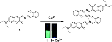 Graphical abstract: A coumarin-based sensitive and selective fluorescent sensor for copper(ii) ions