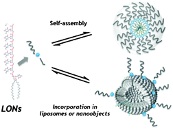 Graphical abstract: A hybrid lipid oligonucleotide: a versatile tool for supramolecular chemistry