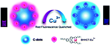 Graphical abstract: Preparation of europium complex-conjugated carbon dots for ratiometric fluorescence detection of copper(ii) ions