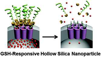 Graphical abstract: Intracellular release of anticancer agents from a hollow silica nanocontainer with glutathione-responsive cyclodextrin gatekeepers
