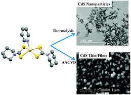 Graphical abstract: Bis(piperidinedithiocarbamato)pyridinecadmium(ii) as a single-source precursor for the synthesis of CdS nanoparticles and aerosol-assisted chemical vapour deposition (AACVD) of CdS thin films